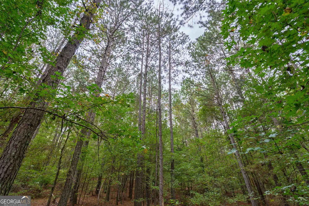 0 Lower Wirebridge RD Stephens, GA 30667
