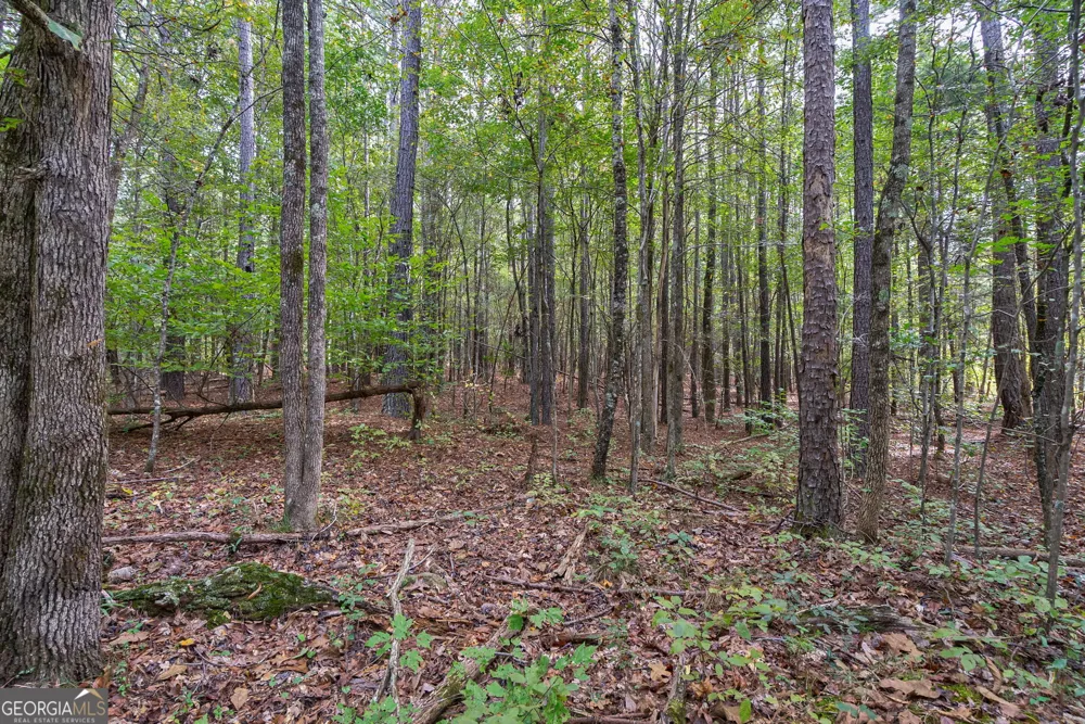 0 Lower Wirebridge RD Stephens, GA 30667