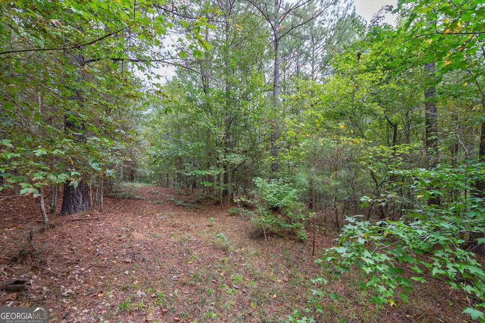 0 Lower Wirebridge RD Stephens, GA 30667