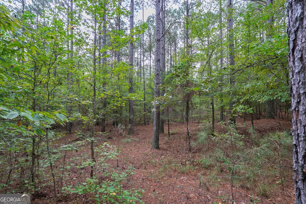 0 Lower Wirebridge RD Stephens, GA 30667
