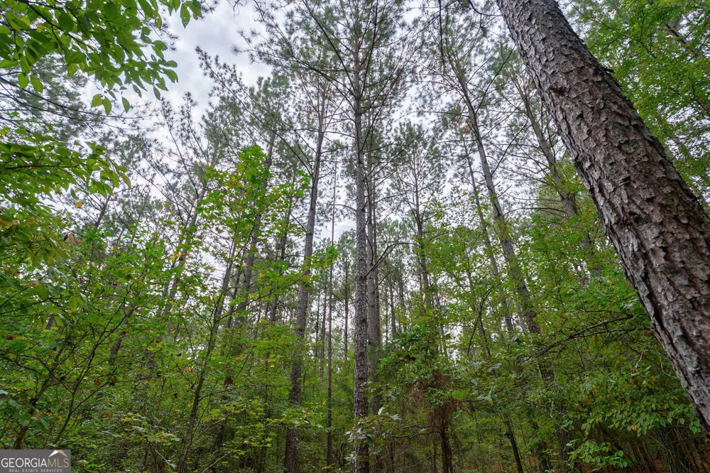 0 Lower Wirebridge RD Stephens, GA 30667