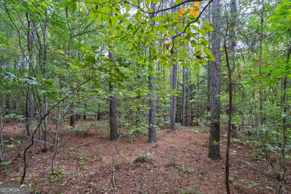 0 Lower Wirebridge RD Stephens, GA 30667