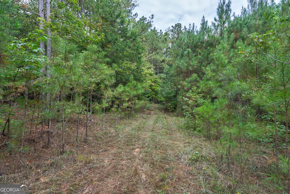 0 Lower Wirebridge RD Stephens, GA 30667