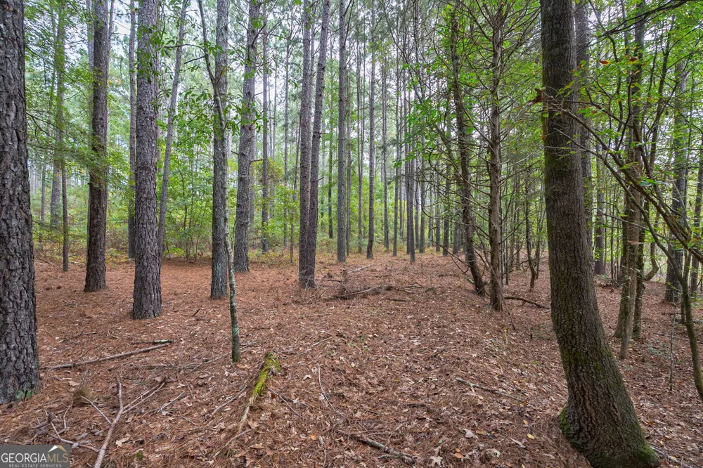 0 Lower Wirebridge RD Stephens, GA 30667