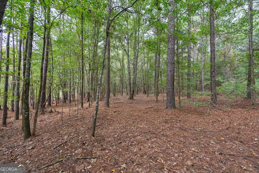 0 Lower Wirebridge RD Stephens, GA 30667