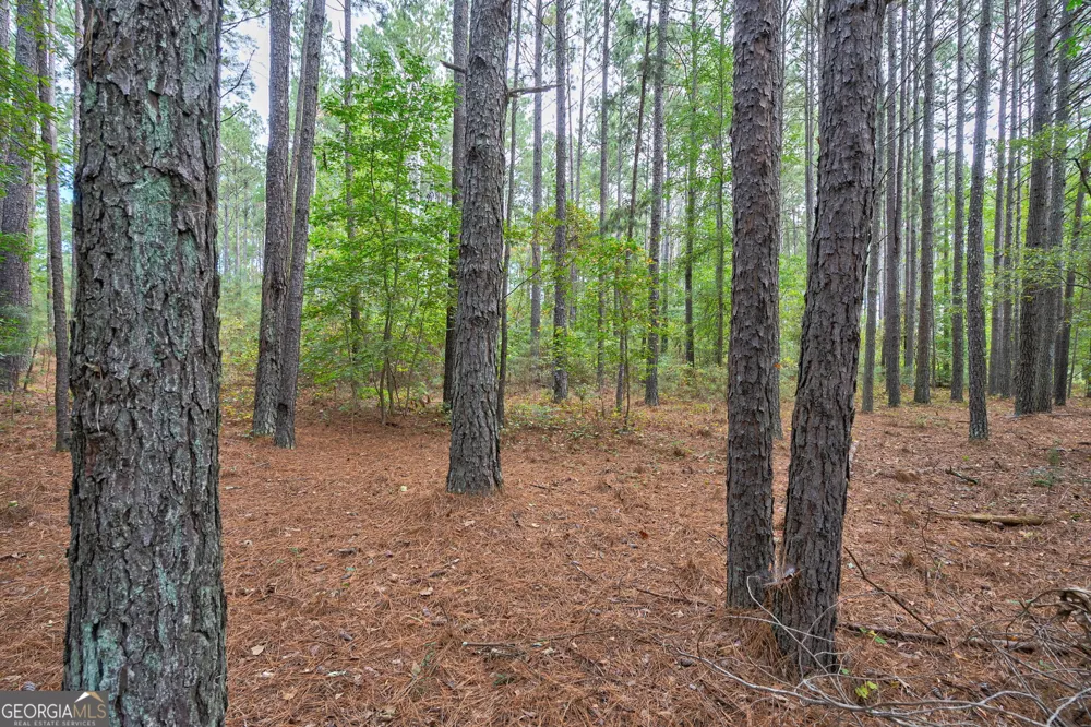 0 Lower Wirebridge RD Stephens, GA 30667