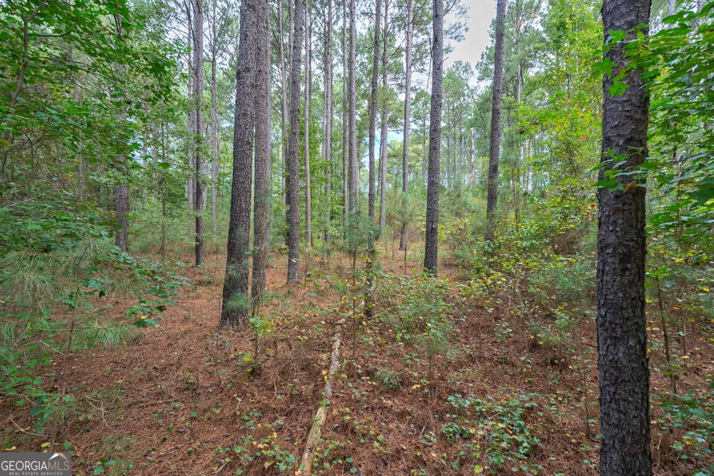 0 Lower Wirebridge RD Stephens, GA 30667