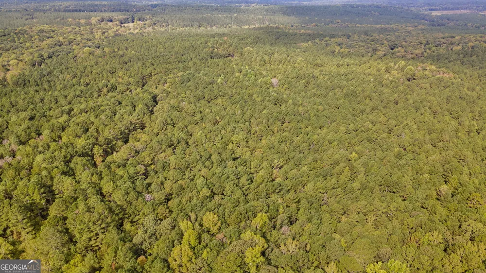 0 Lower Wirebridge RD Stephens, GA 30667