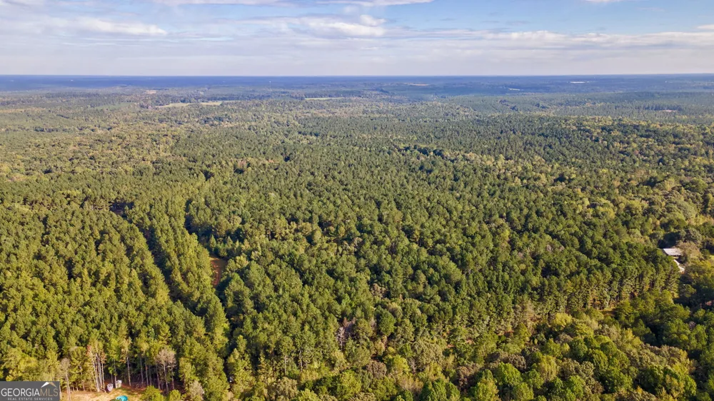 0 Lower Wirebridge RD Stephens, GA 30667