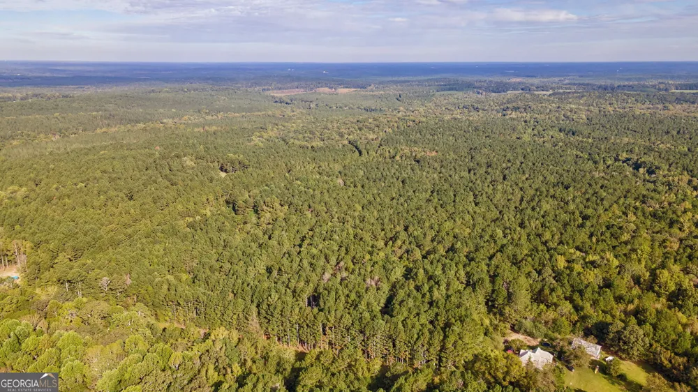 0 Lower Wirebridge RD Stephens, GA 30667