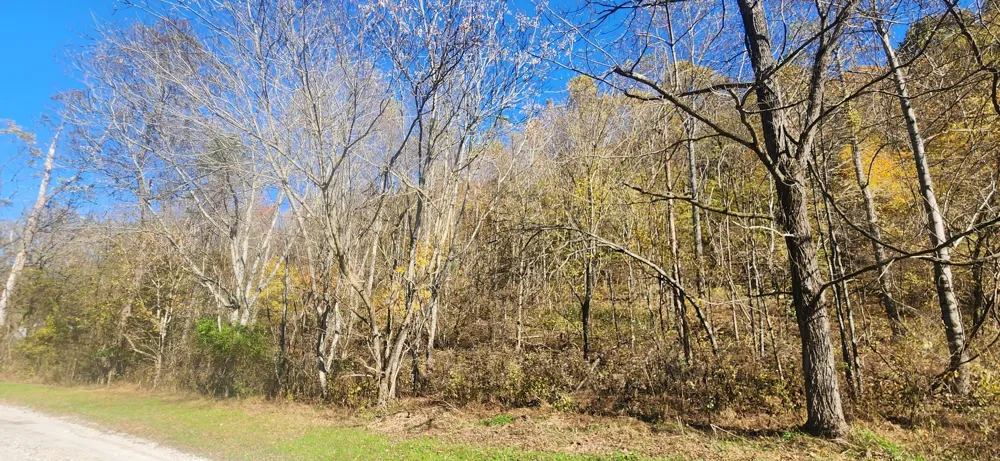 0 Ferguson Road Cornersville, TN 37047