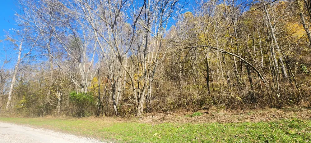 0 Ferguson Road Cornersville, TN 37047