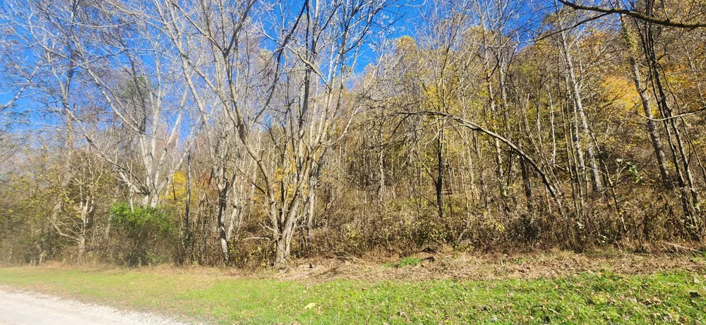 0 Ferguson Road Cornersville, TN 37047