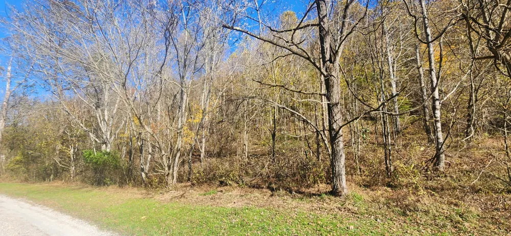0 Ferguson Road Cornersville, TN 37047