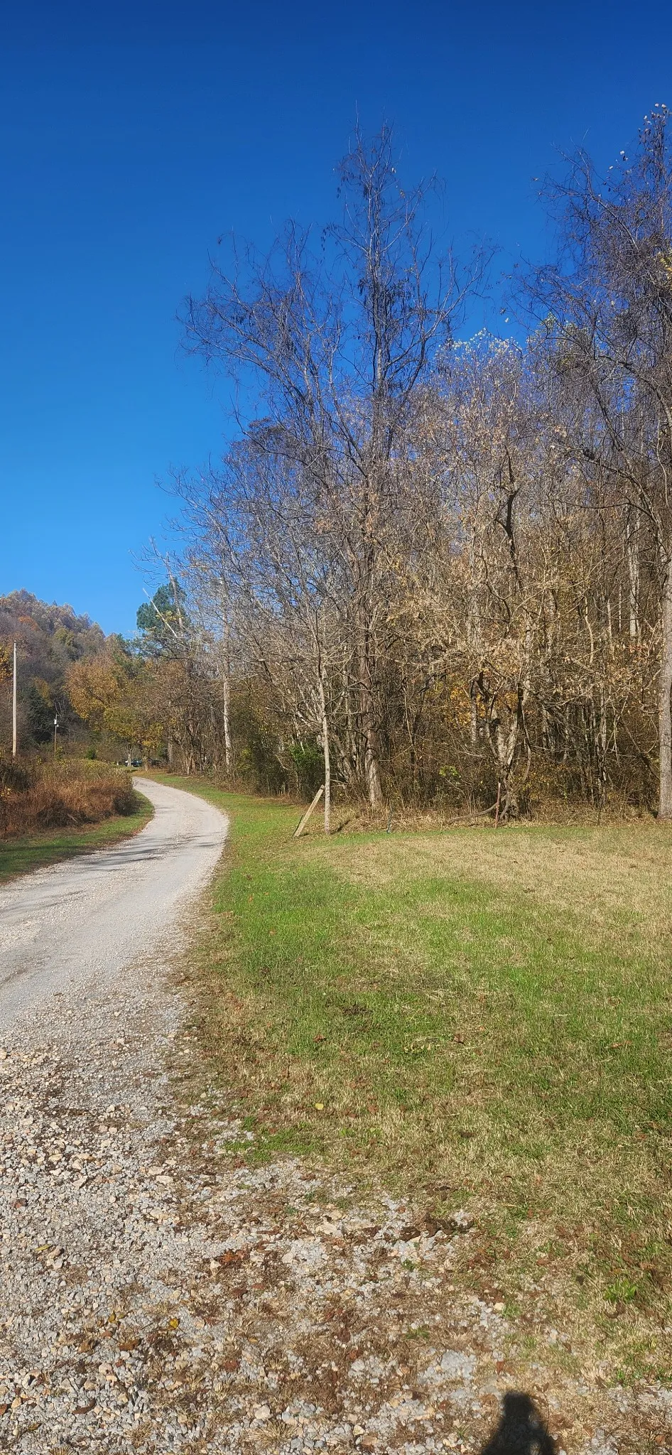 0 Ferguson Road Cornersville, TN 37047