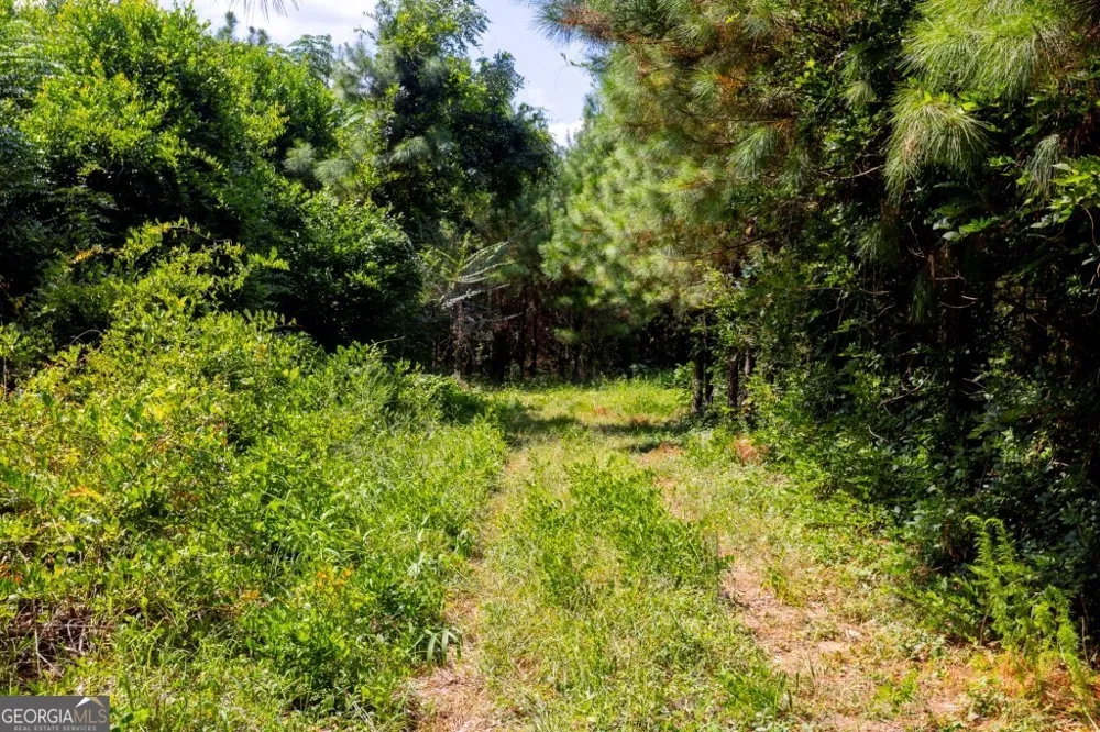 0 Hudson Ferry Rd. & Newington HWY Newington, GA 30446