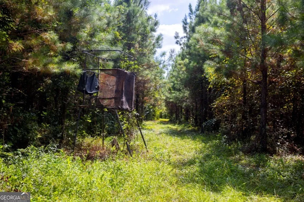 0 Hudson Ferry Rd. & Newington HWY Newington, GA 30446