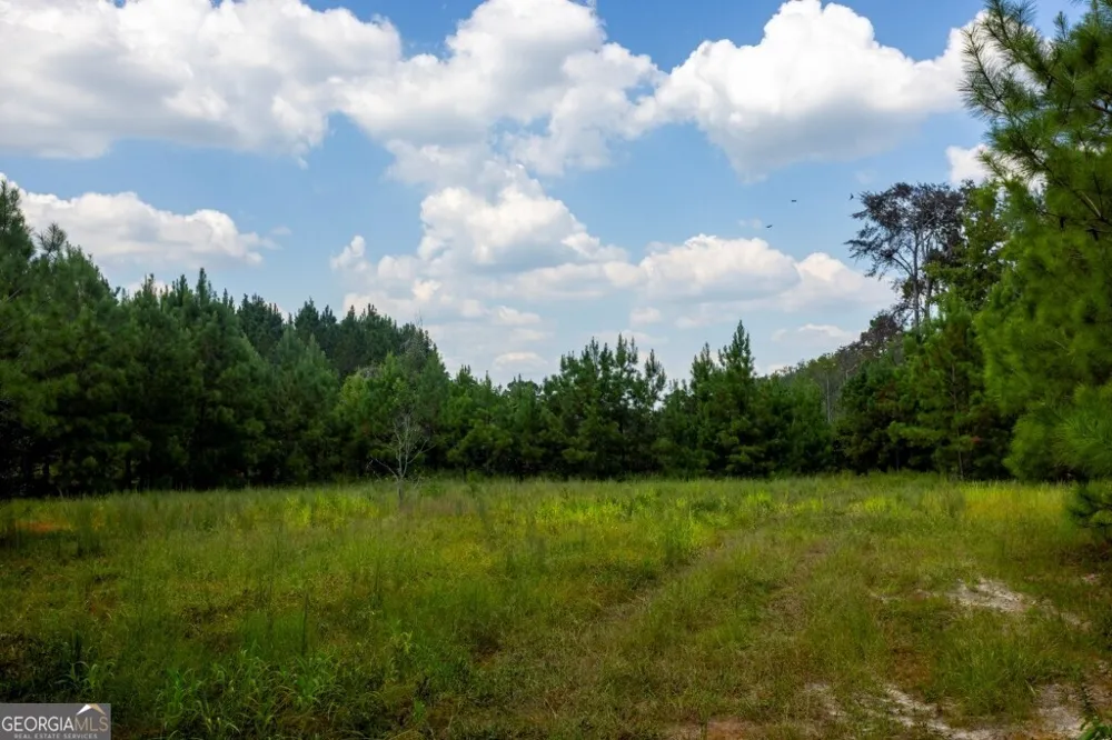 0 Hudson Ferry Rd. & Newington HWY Newington, GA 30446