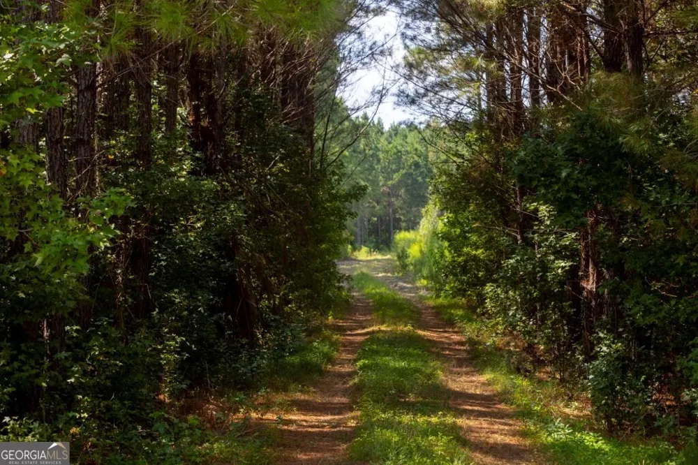 0 Hudson Ferry Rd. & Newington HWY Newington, GA 30446