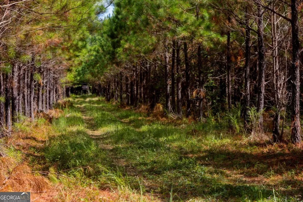 0 Hudson Ferry Rd. & Newington HWY Newington, GA 30446