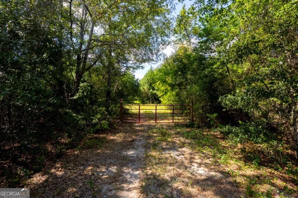 0 Hudson Ferry Rd. & Newington HWY Newington, GA 30446