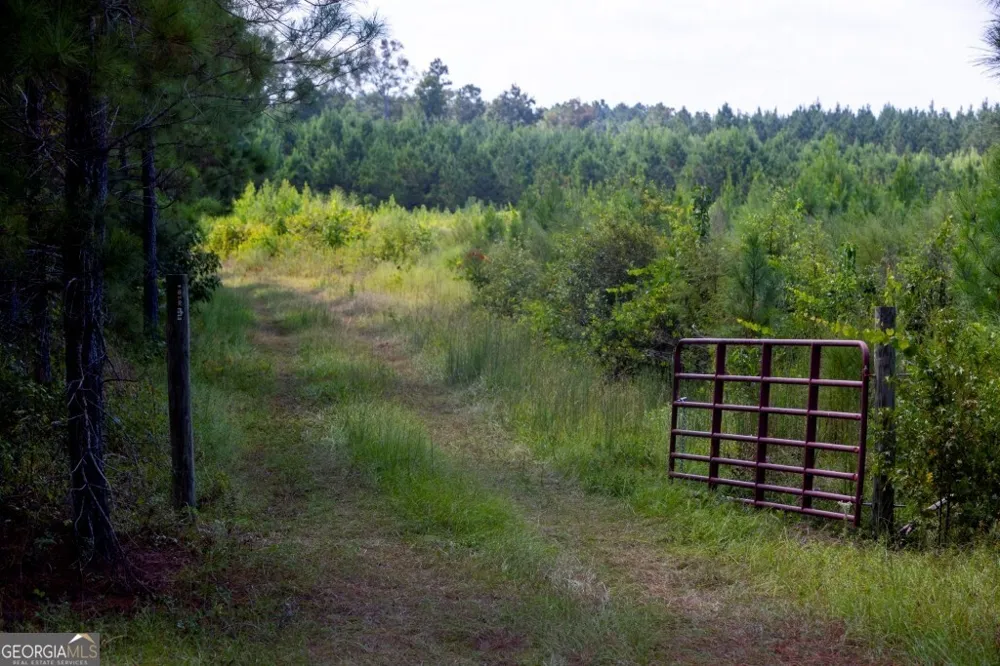 0 Hudson Ferry Rd. & Newington HWY Newington, GA 30446