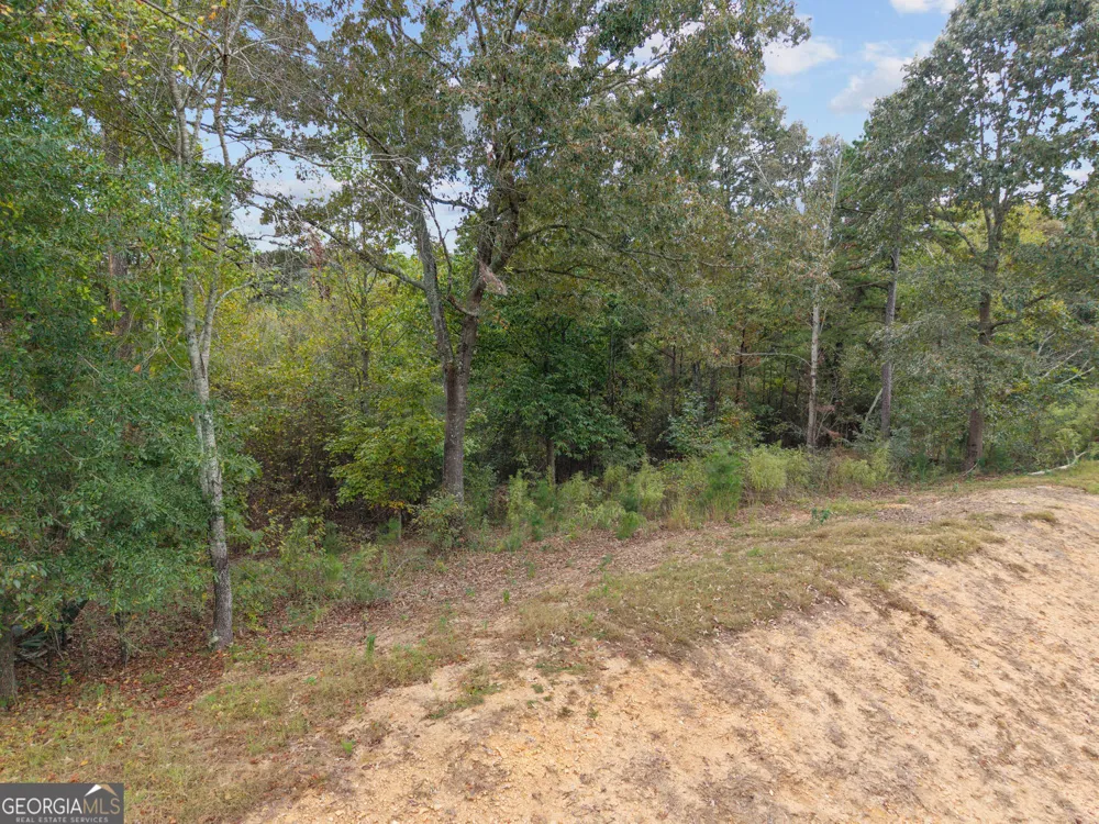 6930 Crestline DR Dawsonville, GA 30534