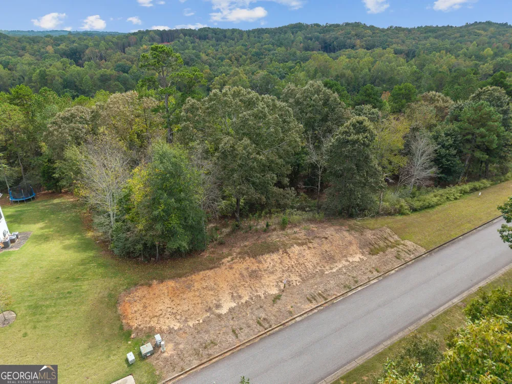 6930 Crestline DR Dawsonville, GA 30534