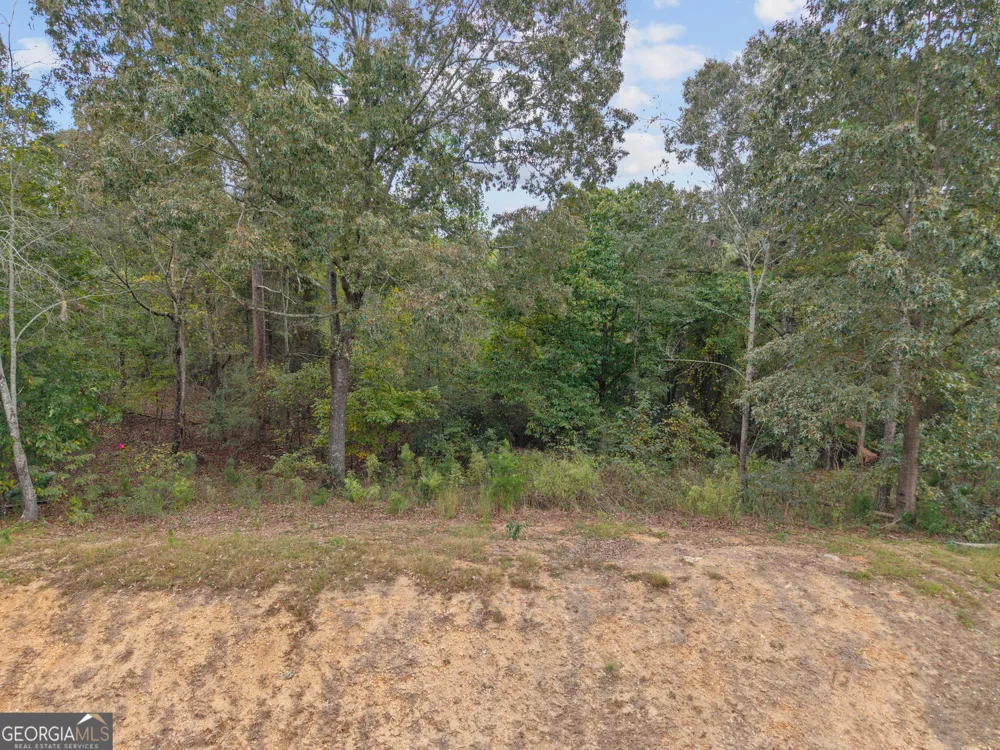 6930 Crestline DR Dawsonville, GA 30534
