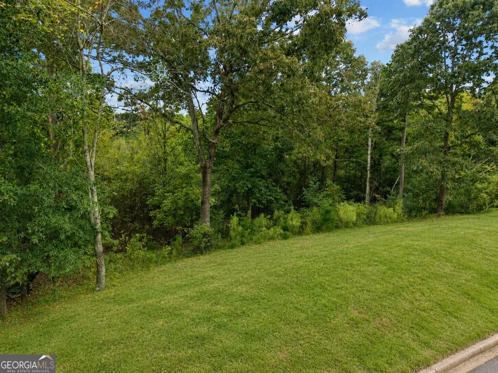 6930 Crestline DR Dawsonville, GA 30534