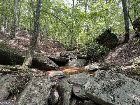 0 Vinson Mountain RD