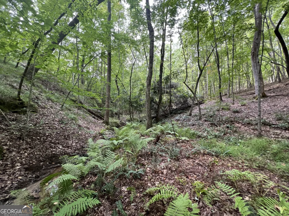 0 Vinson Mountain RD Rockmart, GA 30153
