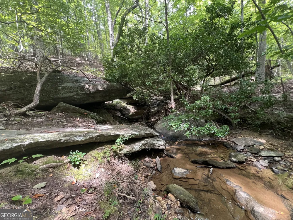 0 Vinson Mountain RD Rockmart, GA 30153