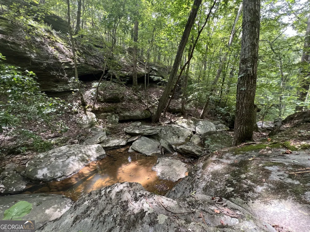 0 Vinson Mountain RD Rockmart, GA 30153