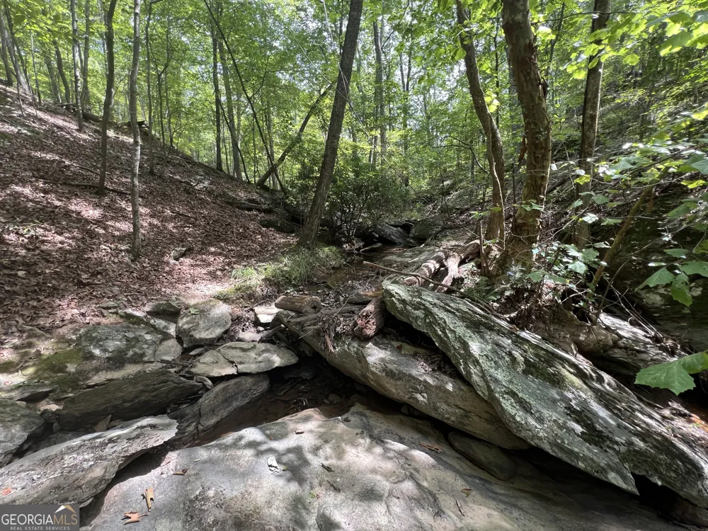 0 Vinson Mountain RD Rockmart, GA 30153