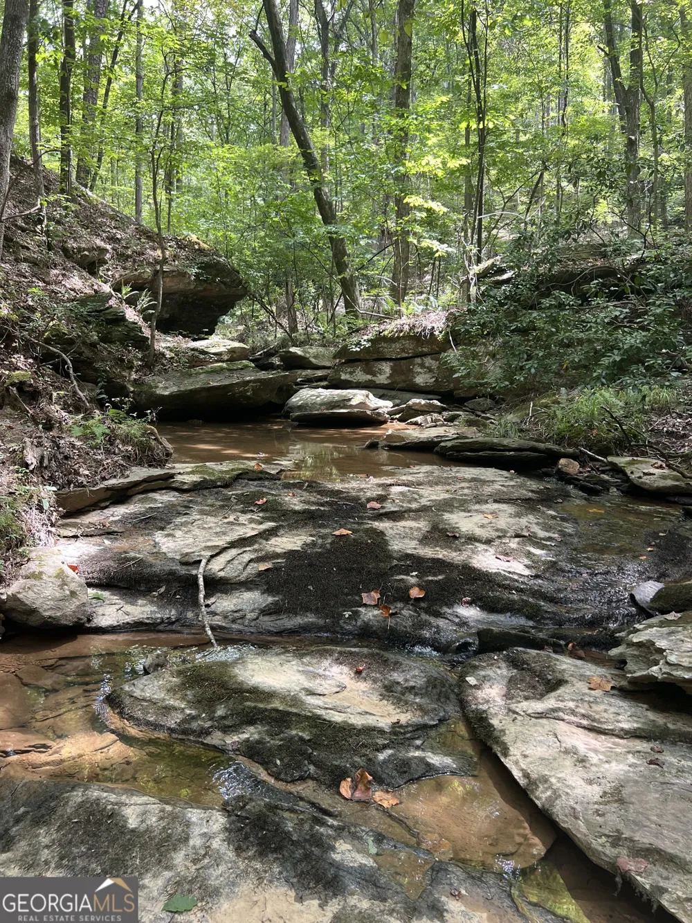 0 Vinson Mountain RD Rockmart, GA 30153