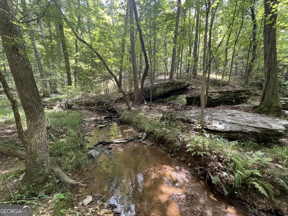 0 Vinson Mountain RD Rockmart, GA 30153