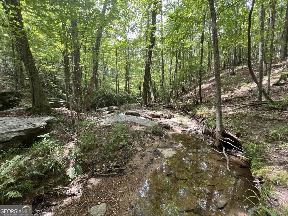 0 Vinson Mountain RD Rockmart, GA 30153