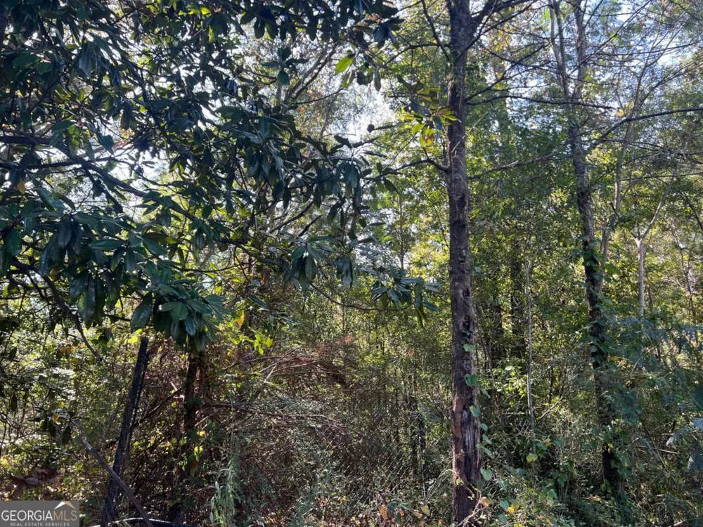 124 S Kelley ST Tallapoosa, GA 30176