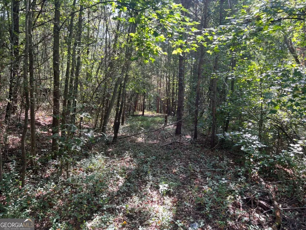 124 S Kelley ST Tallapoosa, GA 30176