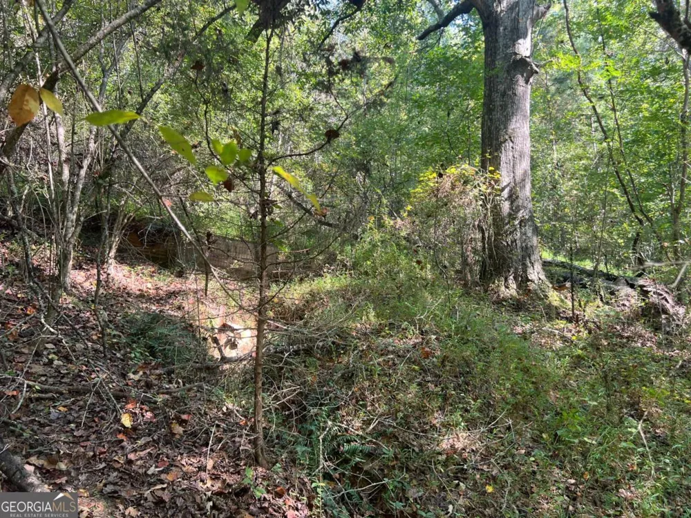 124 S Kelley ST Tallapoosa, GA 30176