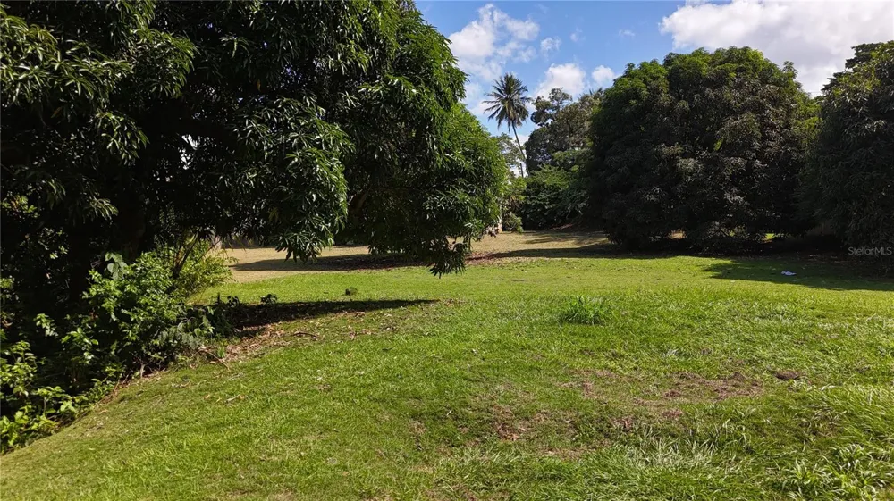 PR-876 KM 0.7 BO LAS CUEVAS Trujillo Alto, PR 00976