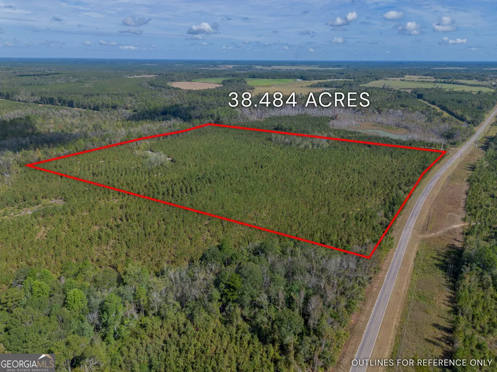 TRACT 2 Kinnett RD Jacksonville, GA 31544