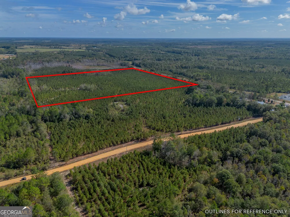 TRACT 2 Kinnett RD Jacksonville, GA 31544