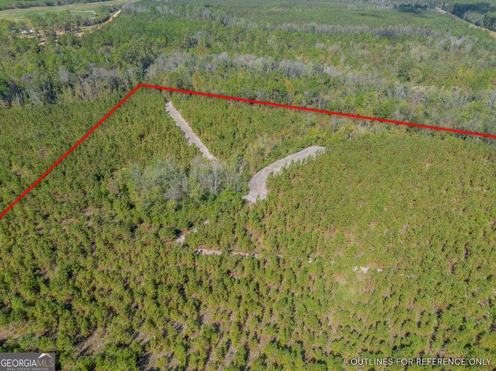 TRACT 2 Kinnett RD Jacksonville, GA 31544