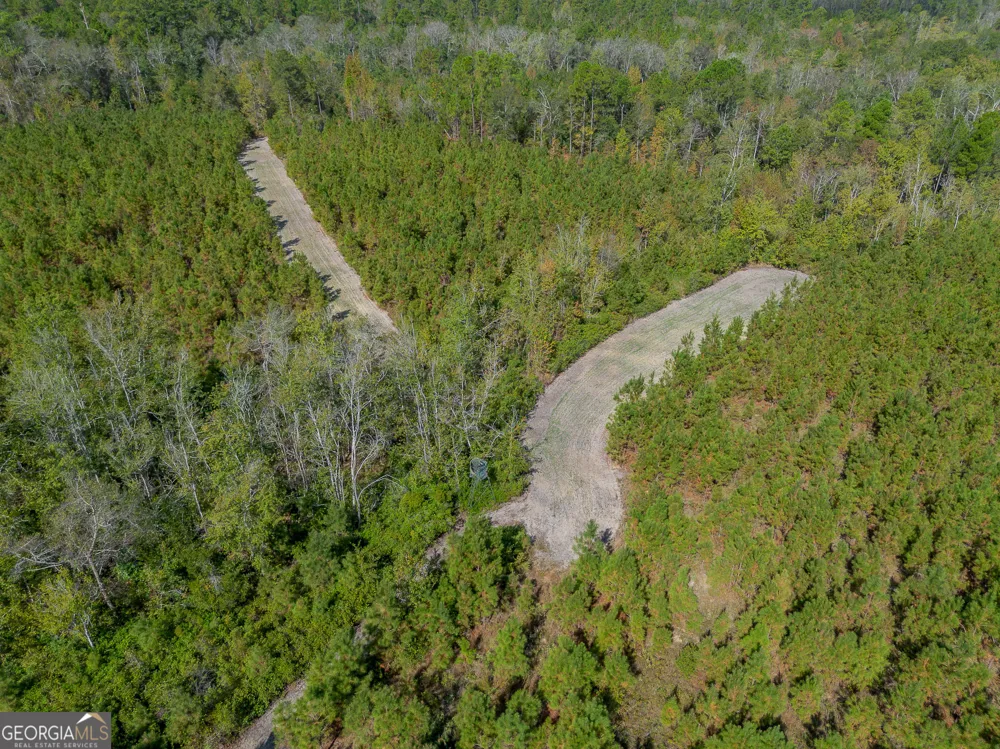 TRACT 2 Kinnett RD Jacksonville, GA 31544