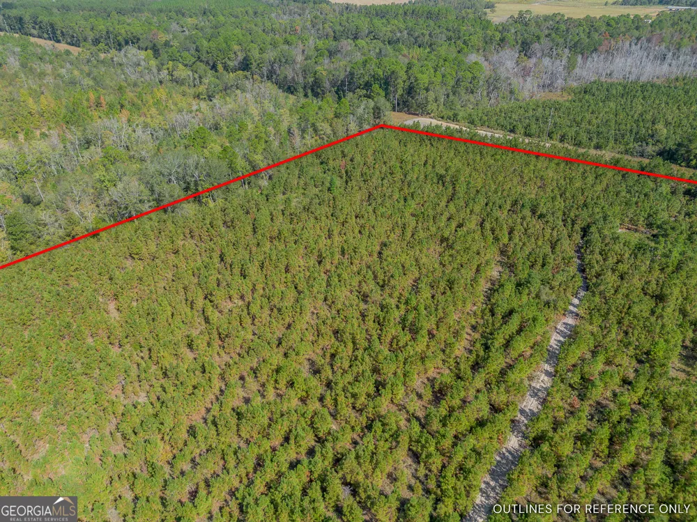 TRACT 2 Kinnett RD Jacksonville, GA 31544