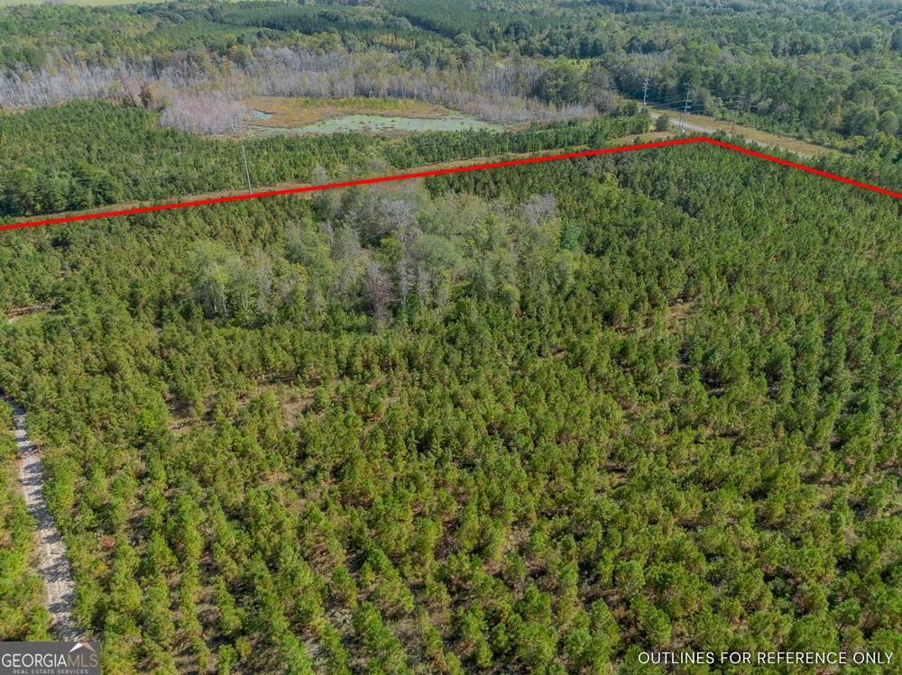 TRACT 2 Kinnett RD Jacksonville, GA 31544