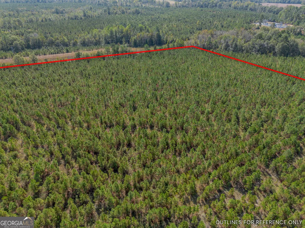 TRACT 2 Kinnett RD Jacksonville, GA 31544