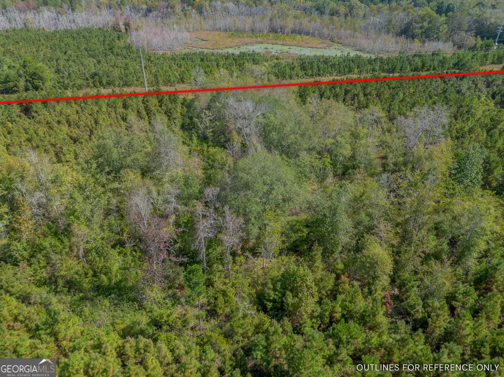 TRACT 2 Kinnett RD Jacksonville, GA 31544